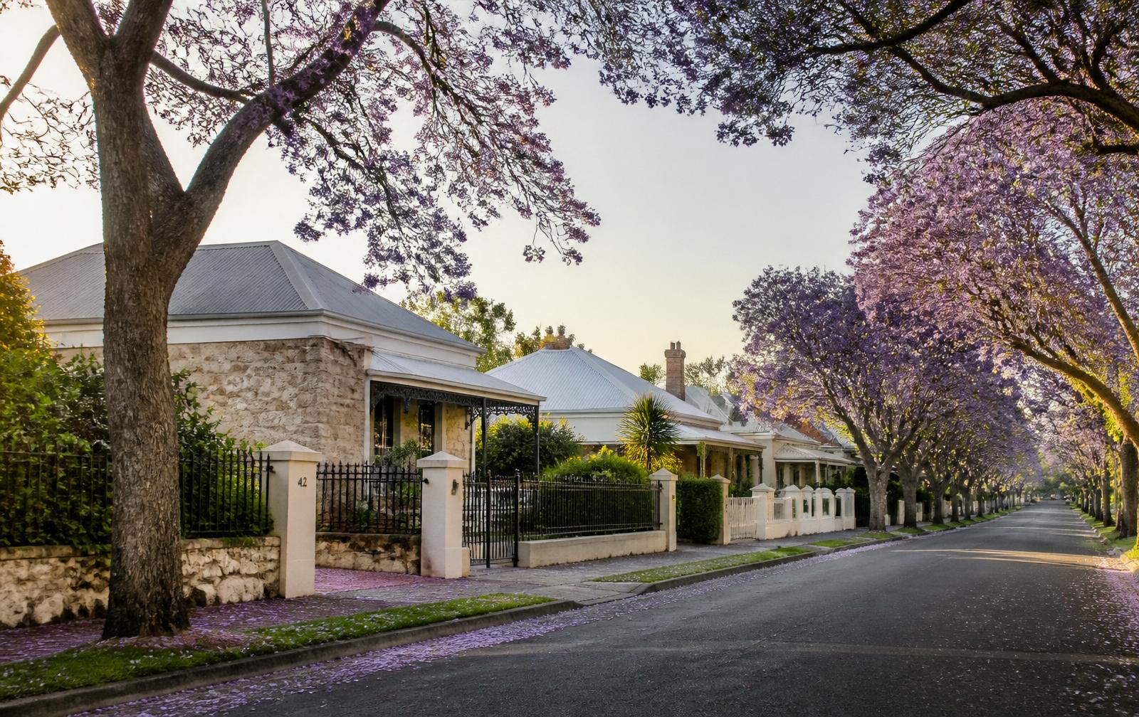 A residential street in Cottesloe, Perth.